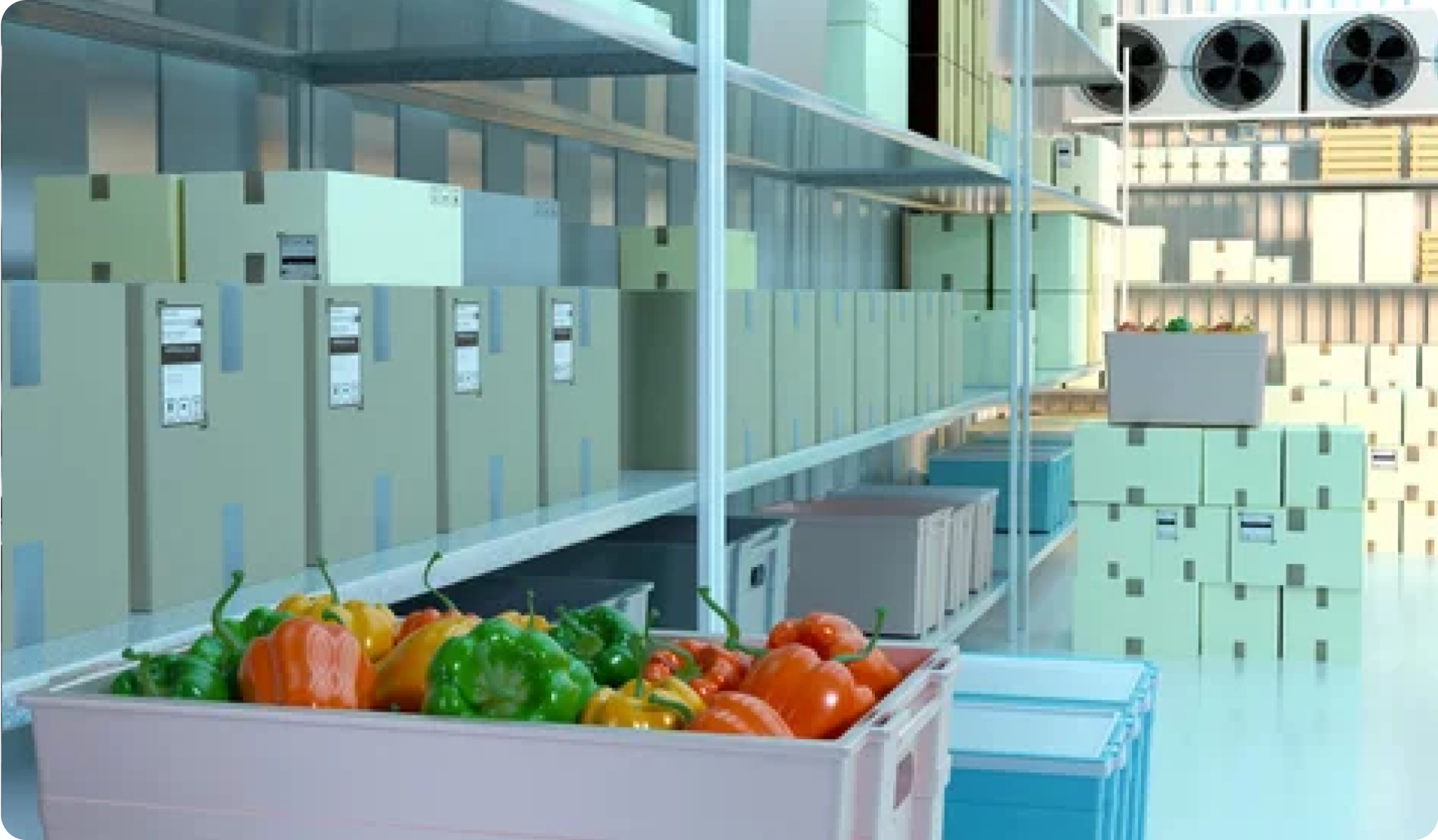 Conservation En Chambre Froide Pour Fruits Et Légumes Koovea 4976